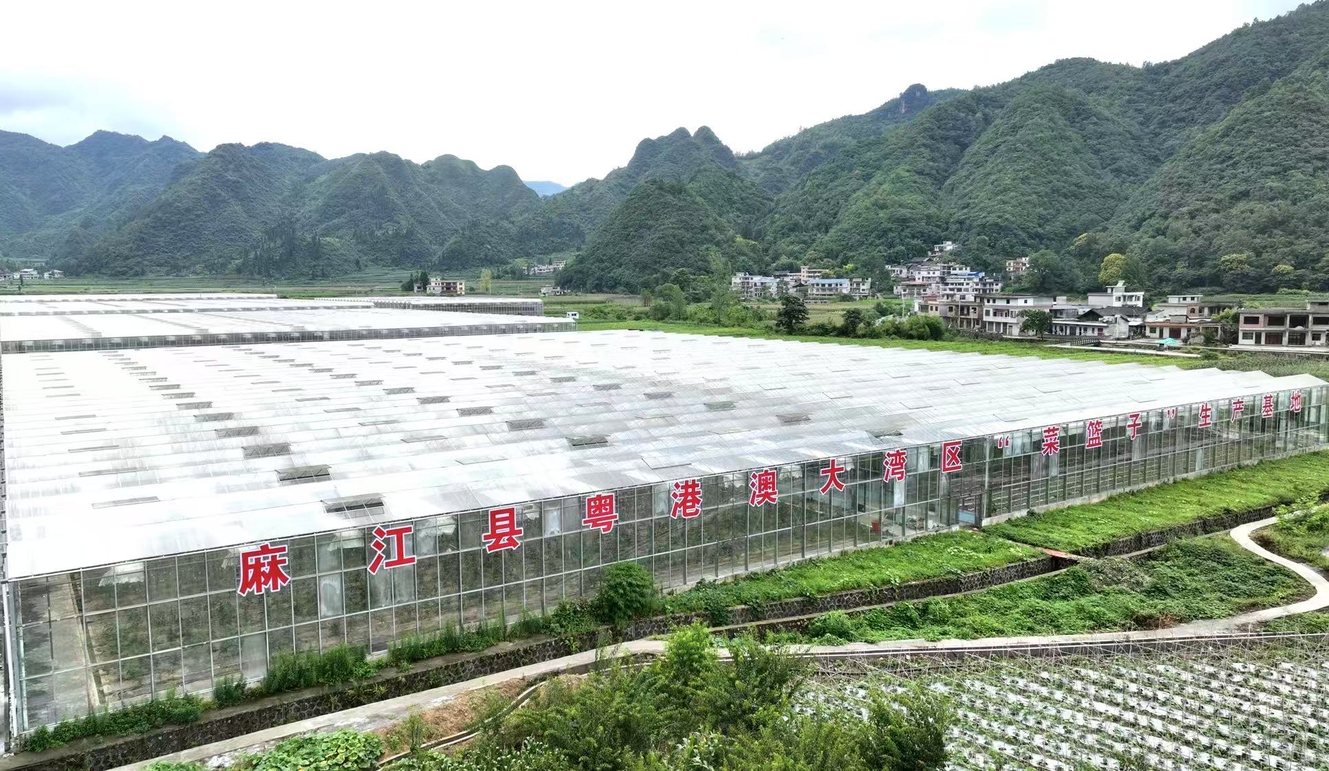 黔麻江：民族團結出碩果 鄉村振興展新貌