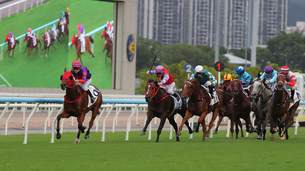 有片丨「關鍵所在」爆66倍冷門捧中華游樂會挑戰盃