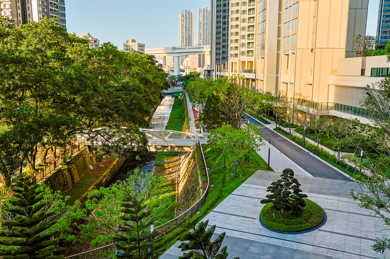 家門口建起「親水花園」，深鐵為居民打造約2萬平方米生態景觀帶
