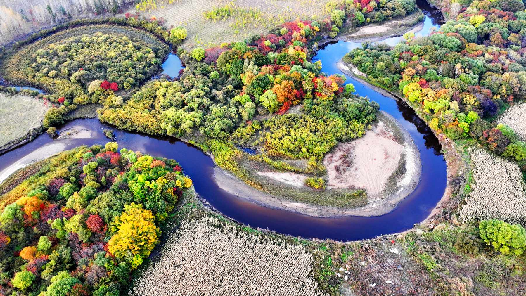 黑龍江綏化秋景：每一幀都是壁紙