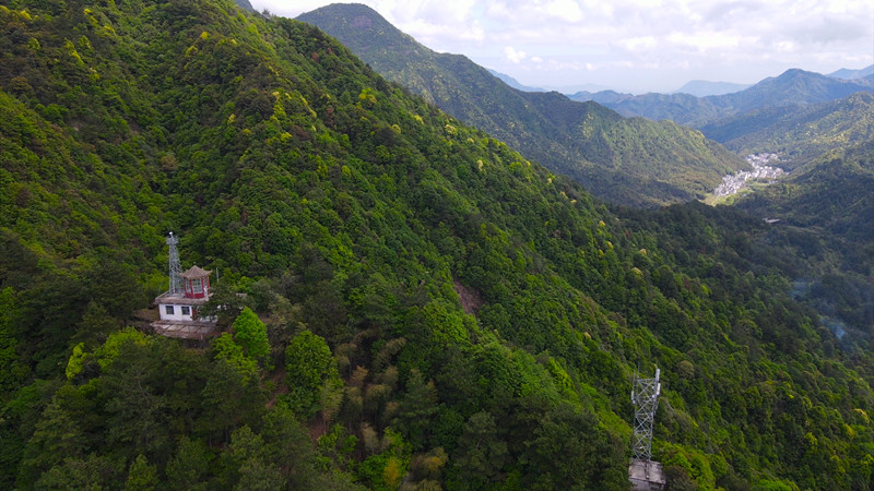 創新轉化路徑賦能區域發展  點「碳」成金的「休寧樣本」