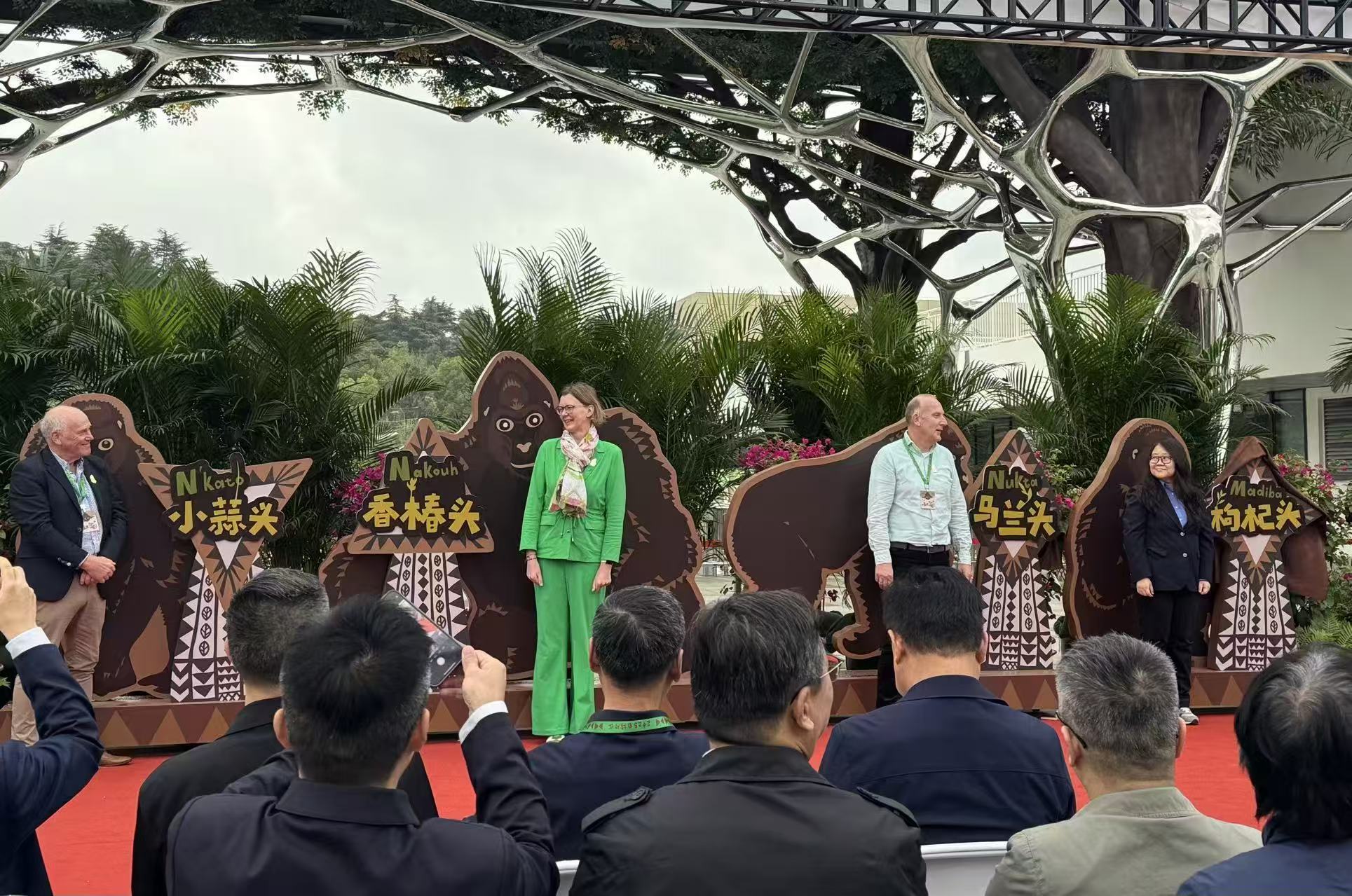 紅山動物園新區開放 四隻荷蘭大猩猩獲「南京味」中文名