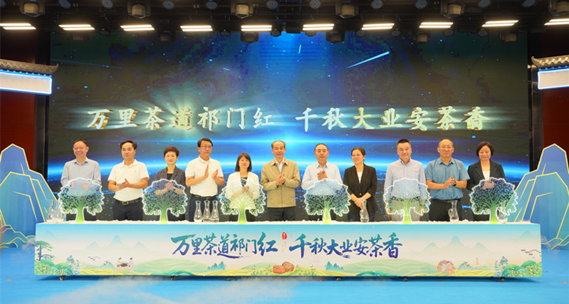 有片丨祁門紅·安茶香    黃山祁門舉辦2025安茶夜露活動暨茶健康產業發展大會