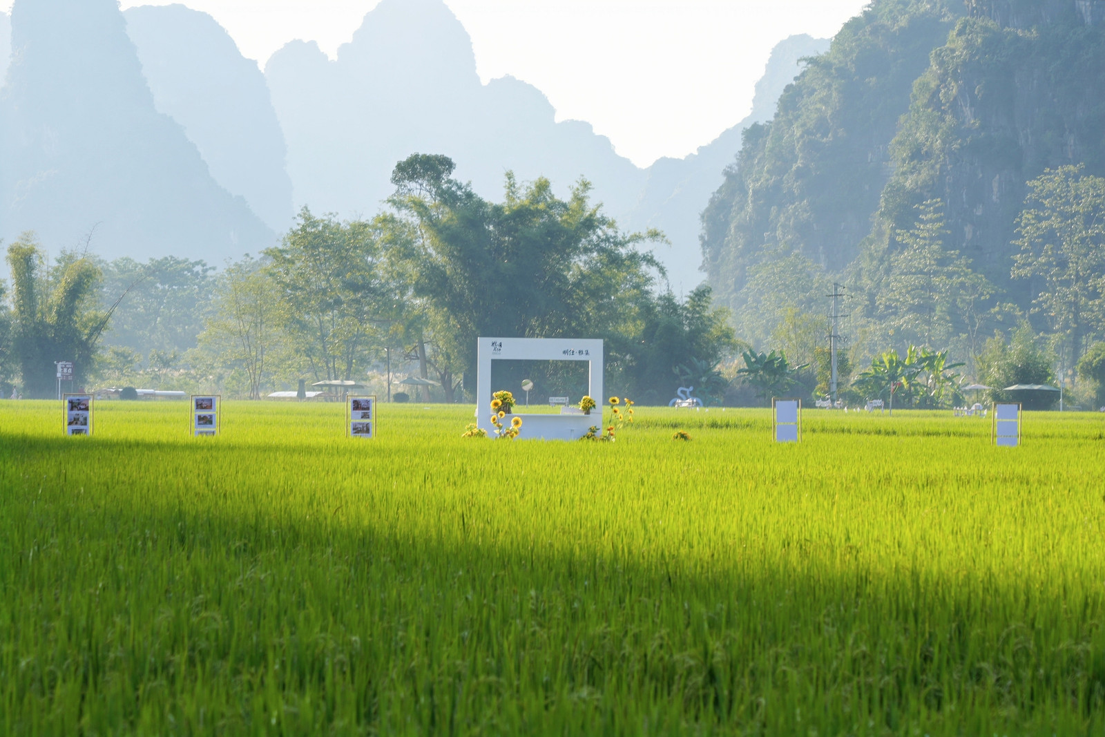 桂大新明仕田園豐收季開幕 融合農耕非遺與中越交流