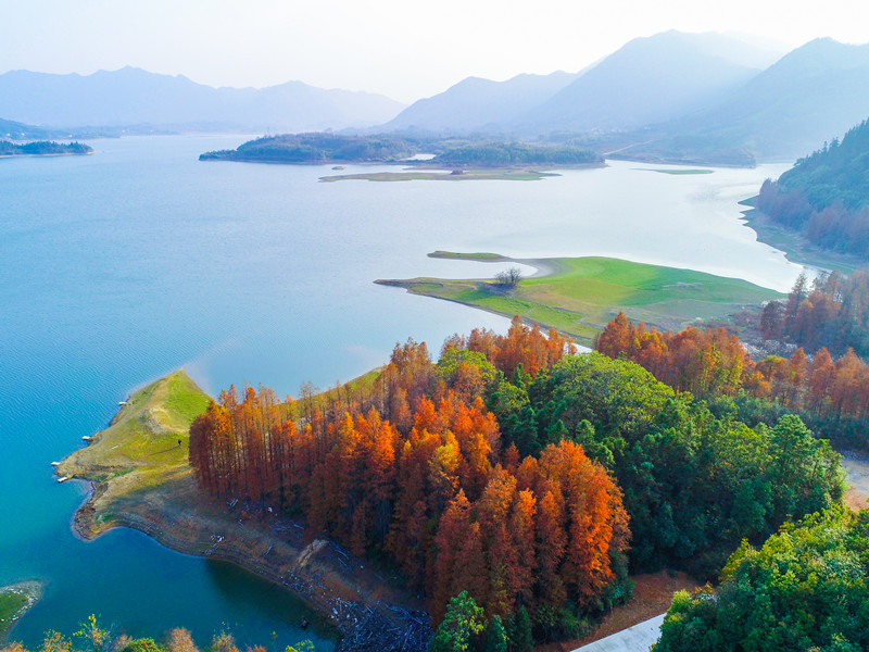 黃山太平湖：邂逅一片紅杉  遇見一灣秋水