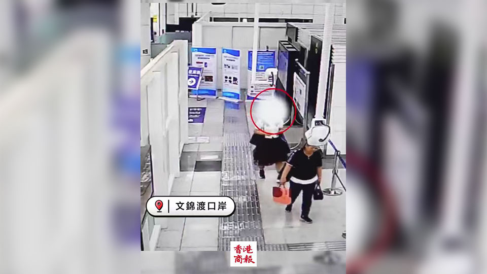 有片｜2名旅客裙內藏68隻外來活體龜 走路僵硬被查