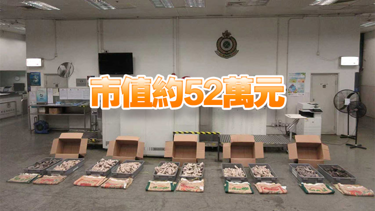 海關偵破空運走私懷疑受管制瀕危物種案件 檢獲約202公斤海參