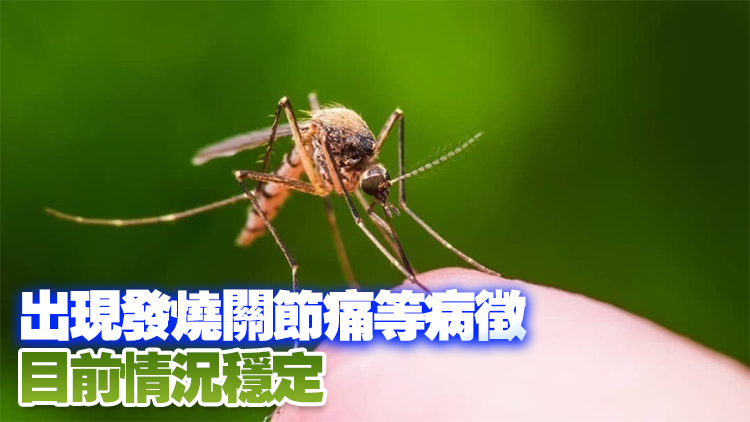 衞生防護中心：44歲女子赴桂平市後染基孔肯雅熱