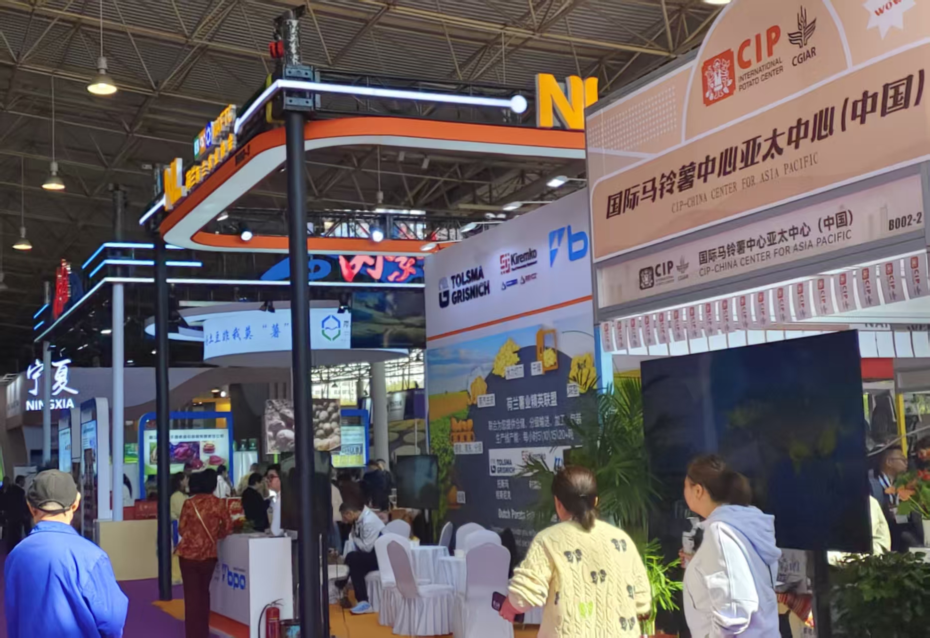 聚焦薯業 濰坊搭建農食產業國際合作平台