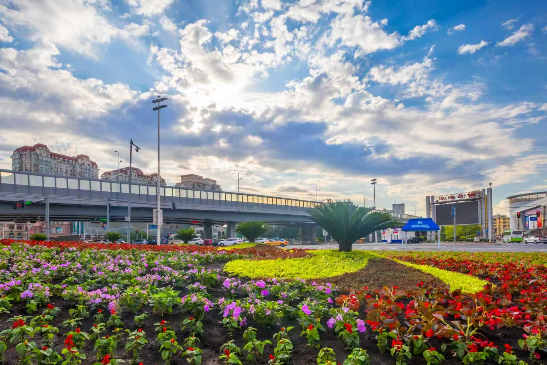 哈市香坊區「十四五」添綠7.8萬株 夯實生態基底優化「鳥語花香」體驗