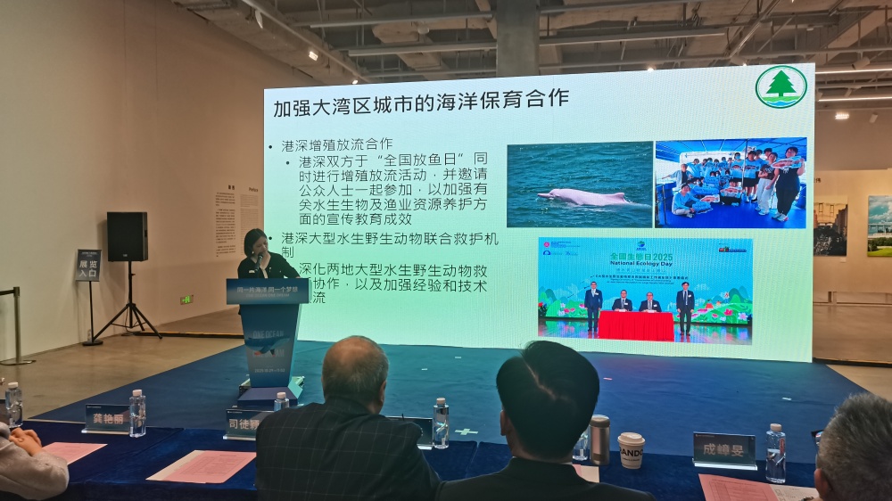 2025深圳國際海洋周啟幕  港深開展四方面海洋保育合作