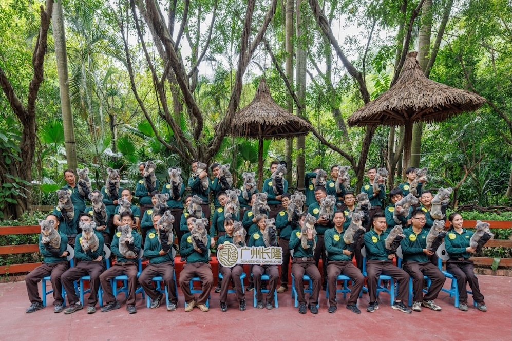 「觀賽+旅行」 長隆度假區推出重磅優惠迎十五運