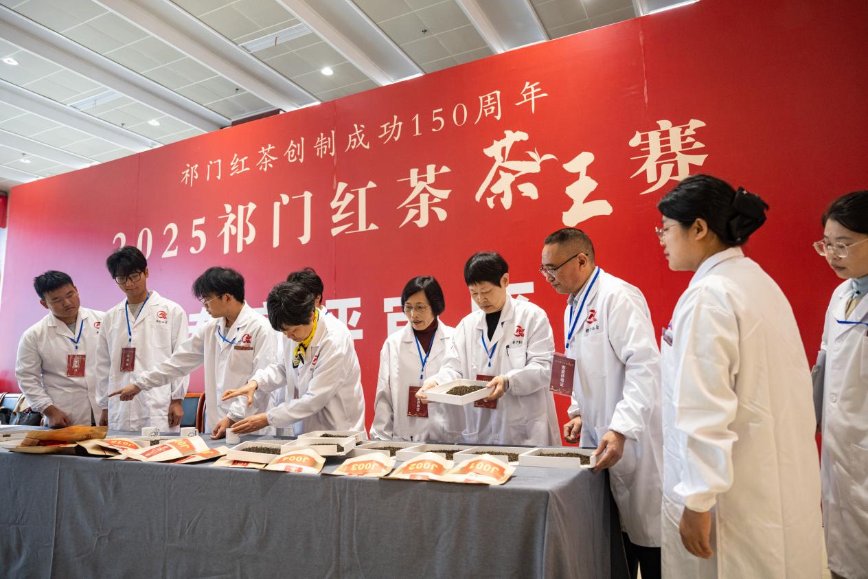 皖祁門縣：2025年祁門紅茶「茶王賽」結果揭曉
