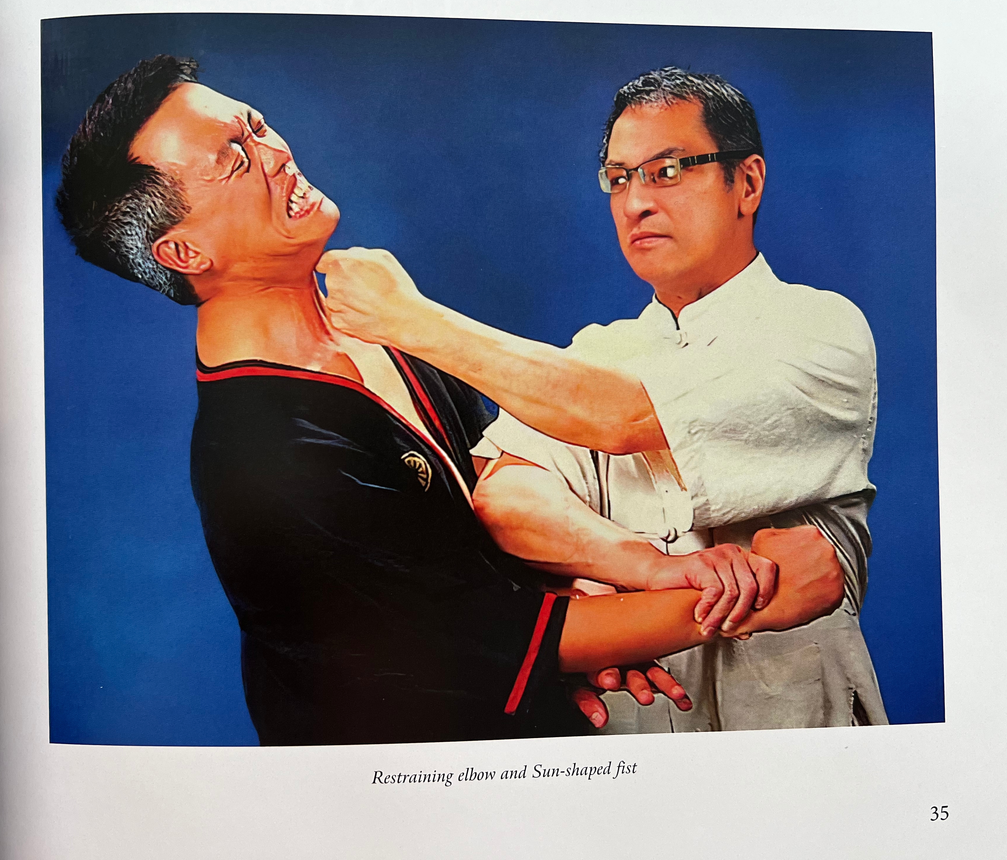 400頁武學圖志里的詠春人生——賀梁挺