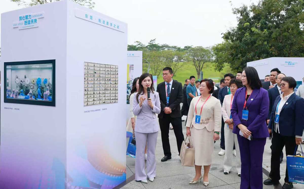 第三個民營企業家日：共慶盛舉，凝聚經濟高質量發展新動能