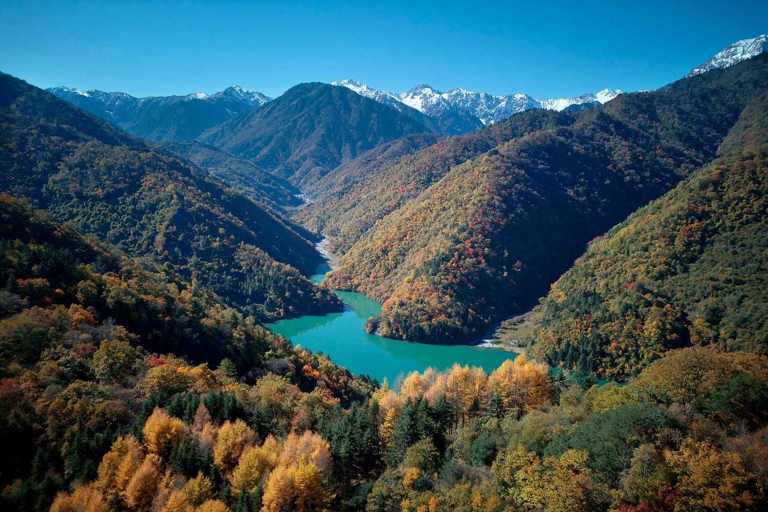 彩林紅葉應時染四川平武白馬藏寨迎客忙