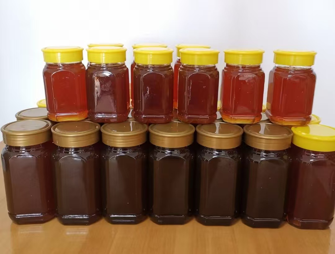 皖祁門縣祁紅：中蜂養殖釀出「致富蜜」