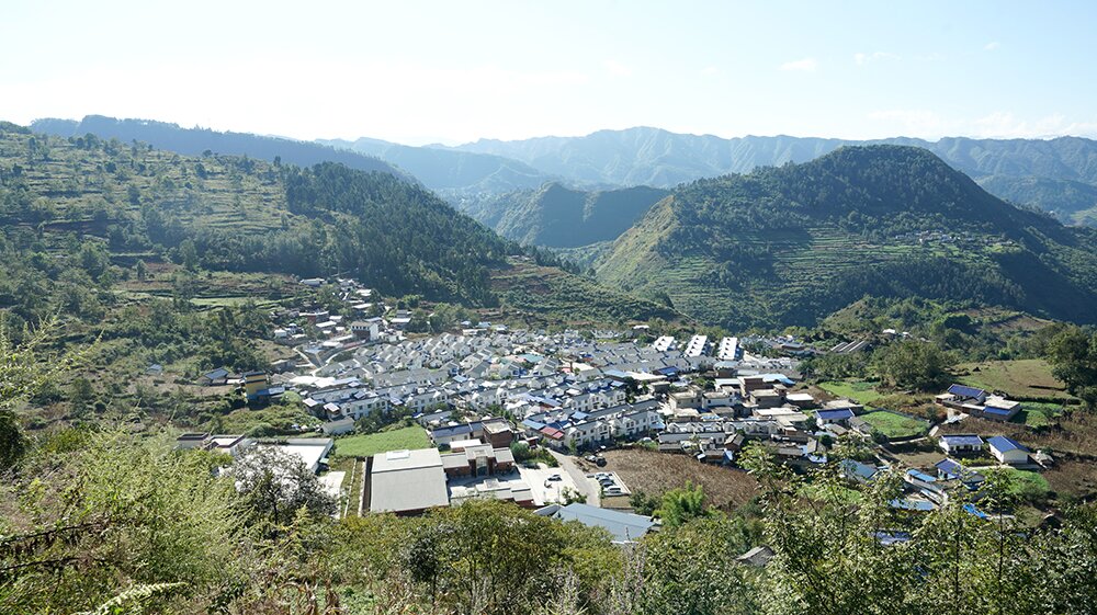 產業「造血」 四川綿竹繪就眉山村和美共富新圖景