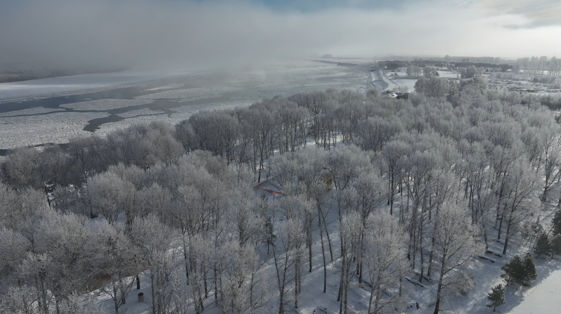 冰晶與冰排共舞！大興安嶺呼瑪縣：今冬首場霧凇醉遊人