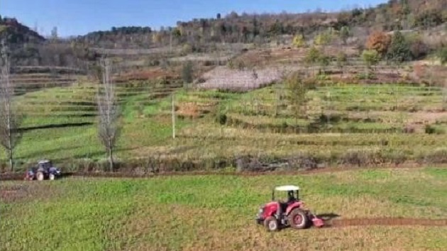 科技賦能保豐收  甘肅隴南搶播冬小麥120余萬畝