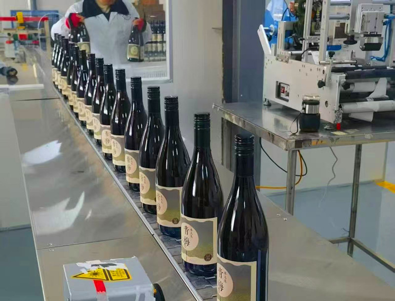 皖黟縣西遞鎮：「六聯」抱團青梅「爍金」