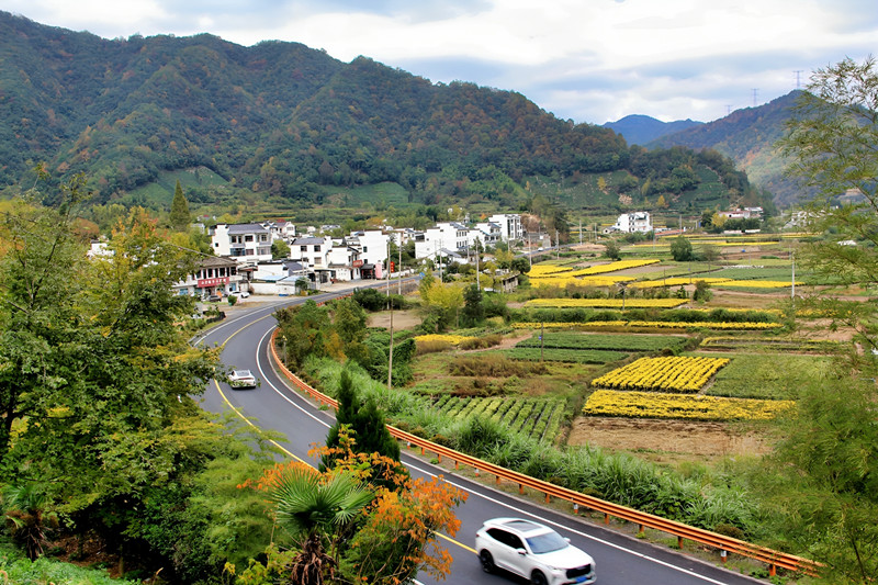 皖休寧縣：一路秋色美如畫