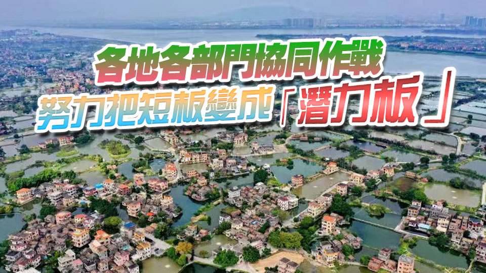 奏響發展協奏曲！廣東奮力實現「百千萬工程」三年初見成效