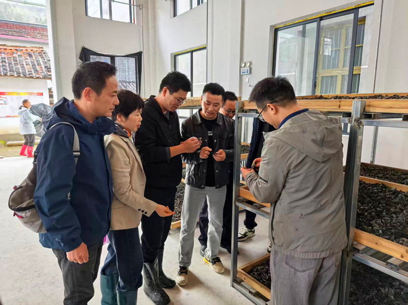 皖休寧縣：組團觀摩推選派幹部交流互鑒