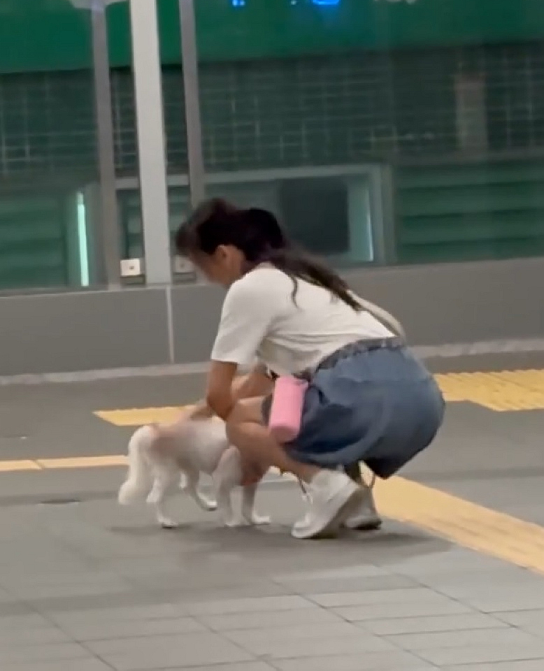 有片｜旺角道天橋拍打狗隻 警拘一女涉殘酷對待動物