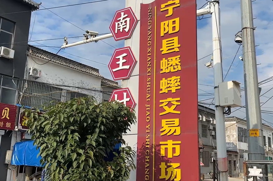 【視聽山東】蟲鳴蟋都  等您來