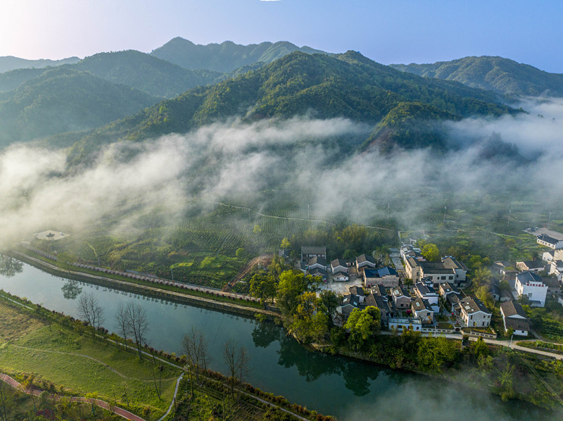 【第十五屆安徽國際文化旅遊節】祁門縣：「世界紅茶之都」 文旅「融」光煥發