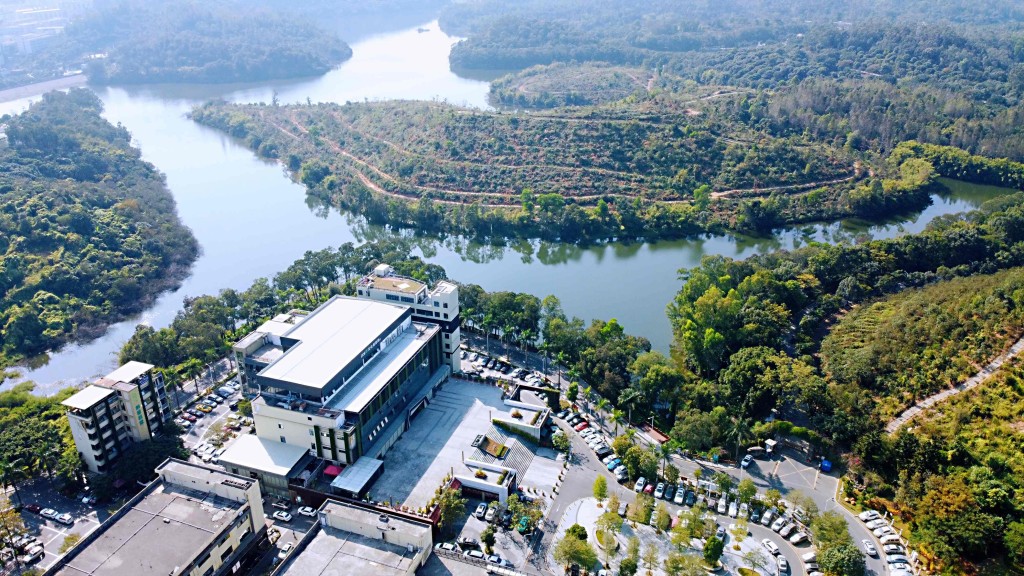 平湖「村花」粉繪「三生共融」 深圳上木古與異木棉的美好邂逅