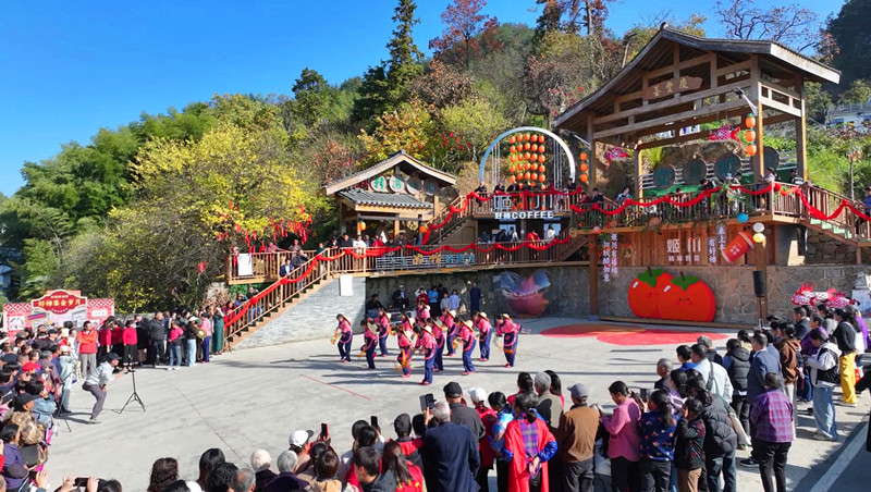 皖歙縣上豐：姬川燈籠柿豐收嘉年華甜蜜開啟