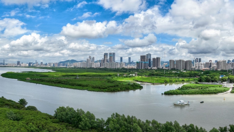 11月18日深圳演練部分路段臨時交通管制