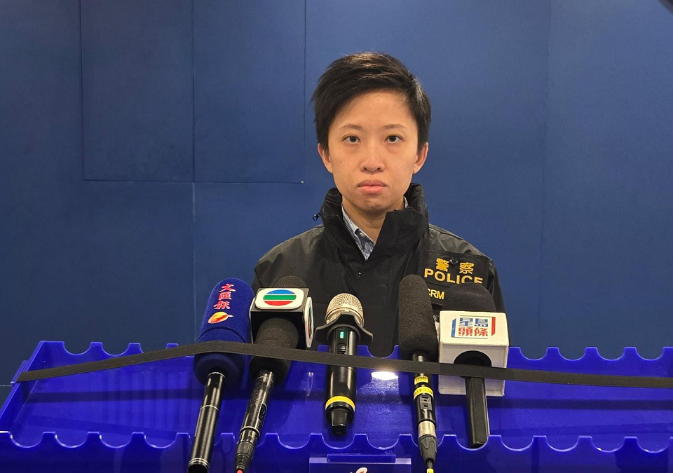 立法會選舉候選人宣傳海報遭毀壞 警方大嶼山拘一外籍男