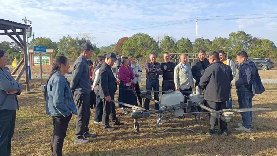 皖徽州區：「田間研修」讓種糧更有奔頭