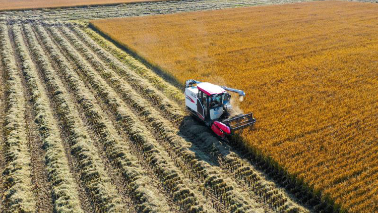 【投行視野】「十五五」政策成經濟調整主軸 農林牧漁成新周期亮點