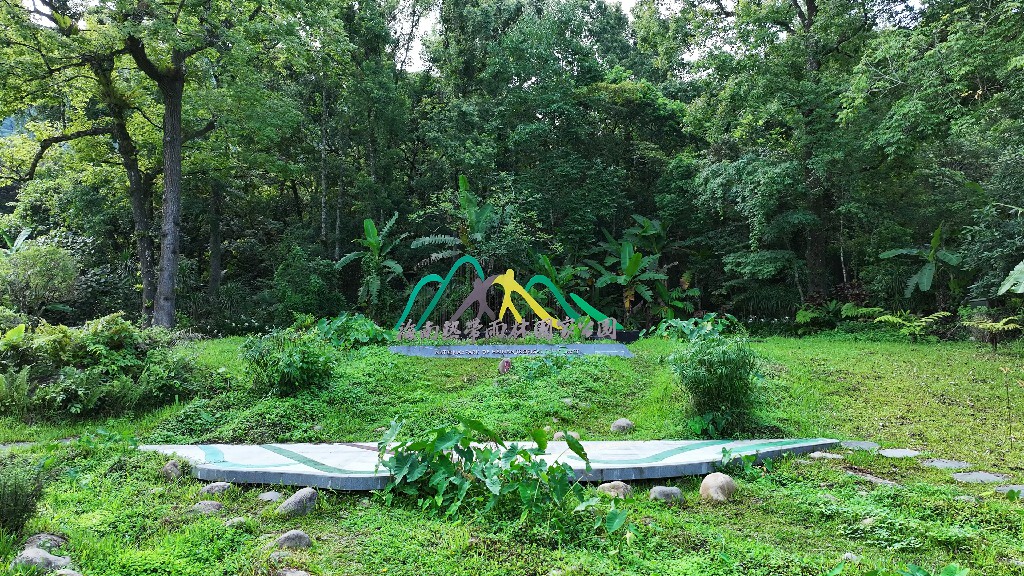 2025年「雨林與您」熱帶雨林國家公園國際研討會即將啟幕