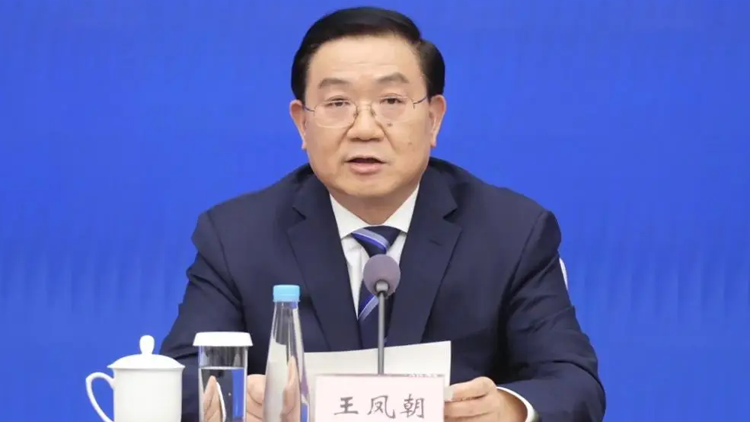 四川成都市市長王鳳朝被查！