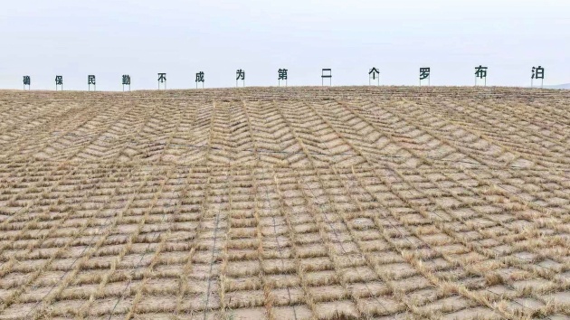 新技術賦能 甘肅武威土地荒漠化沙化面積實現「雙縮減」