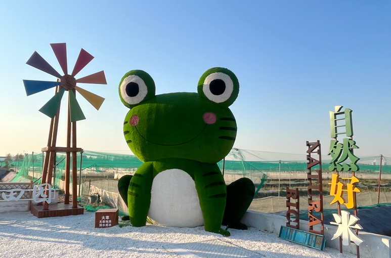 從「一地三收」看山東羅莊稻蛙共舞繪新景