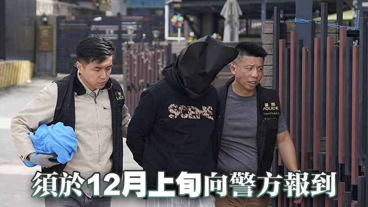 宏福苑大火｜維修宏福苑建築工程公司3名被捕負責人獲保釋候查