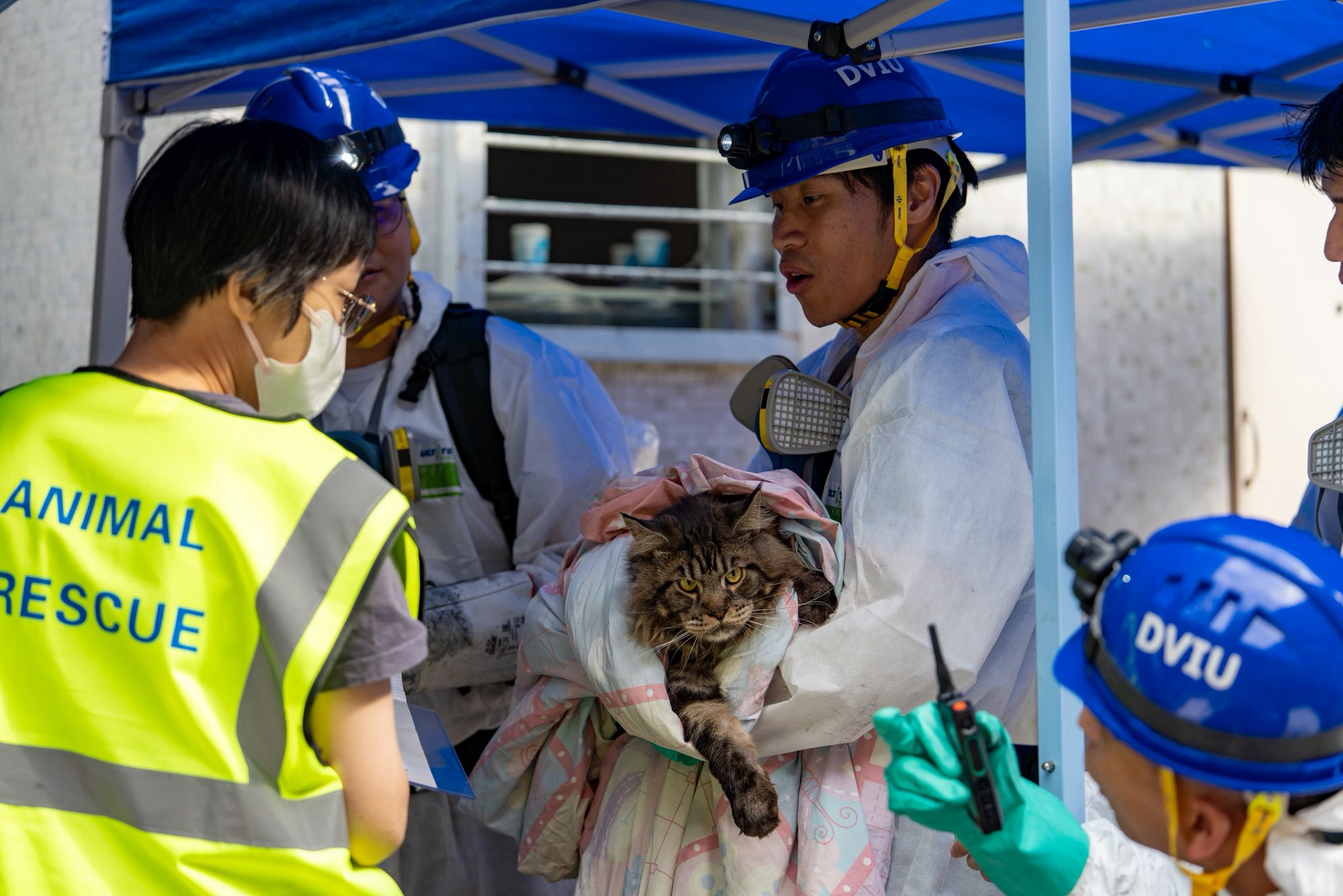 宏福苑大火 | 警方爭分奪秒全力開展搜證行動