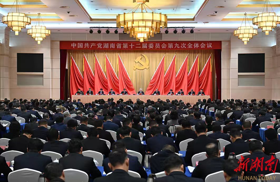 湖南省委十二屆九次全體會議決議發布
