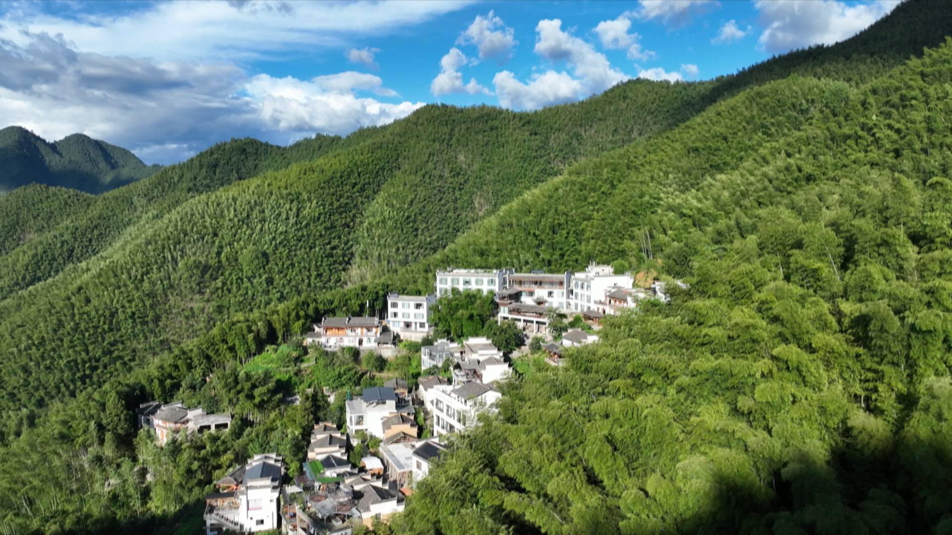 「林」距離「森」呼吸 皖黟縣綠水青山繪就共富新圖景