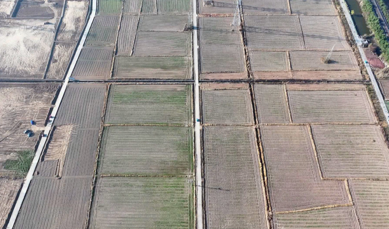 皖歙縣桂林鎮：土地流轉顯生機 產業融合增勢能