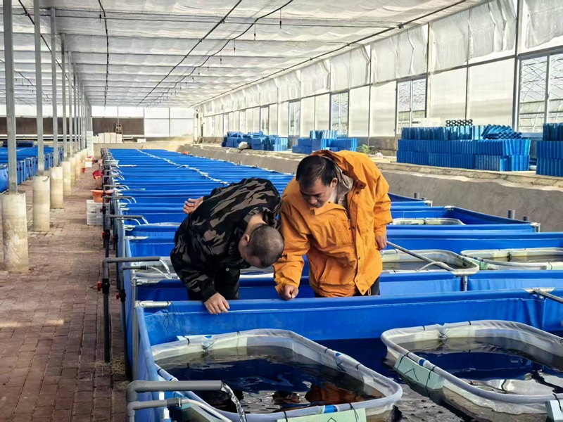 湘品出海 閃耀世界 | 長沙望城荷花蝦苗走出國門 東南亞客戶陸續登門