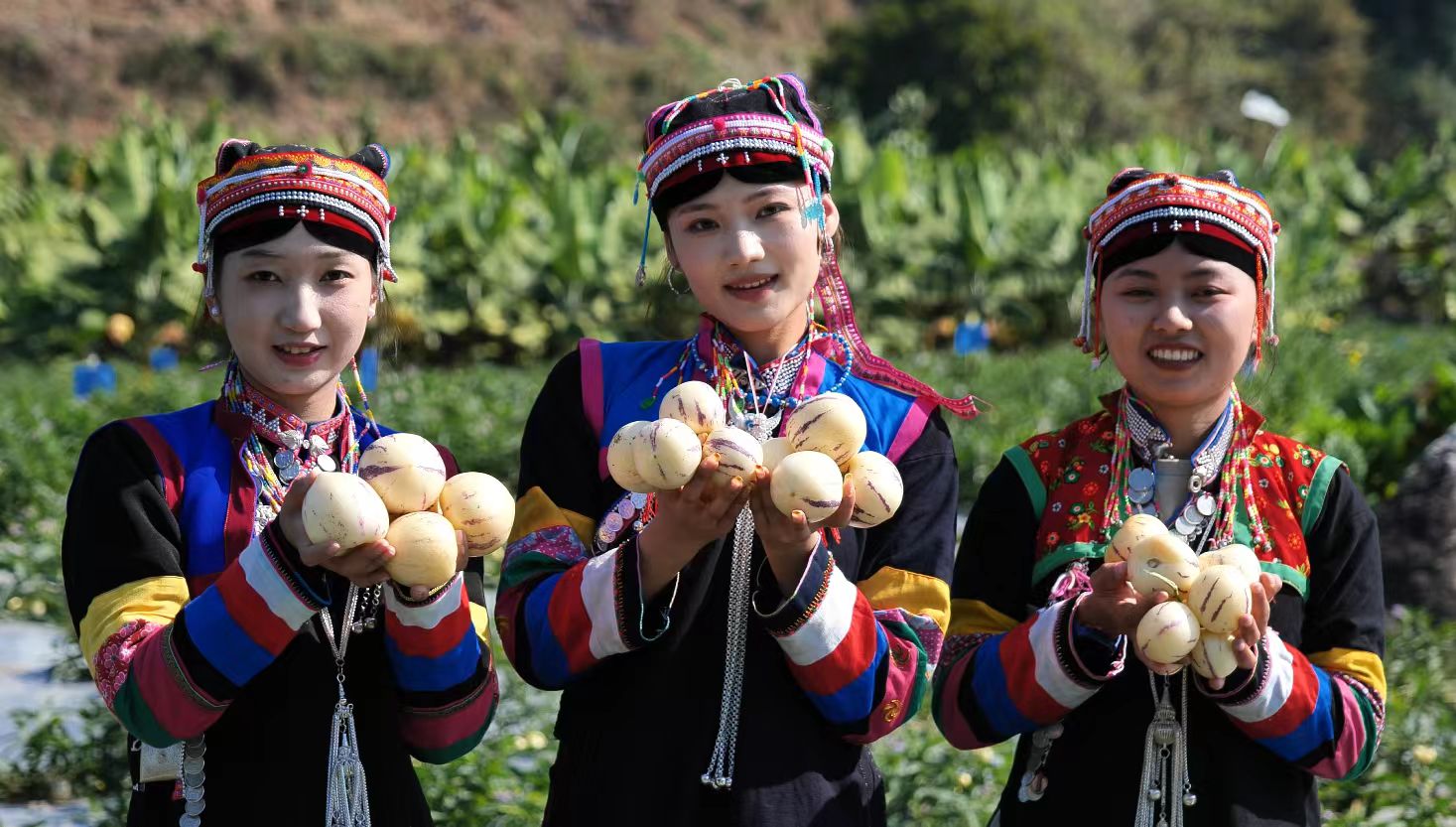 40年華麗蝶變 長壽金平煥新顏  金平苗族瑤族傣族自治縣成立奮進40年發展紀實