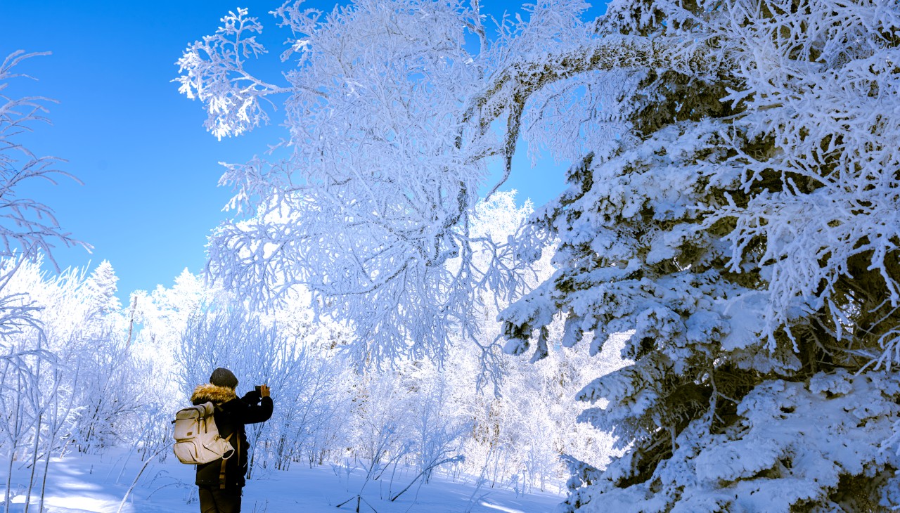 節氣專稿丨陳耀輝：大雪