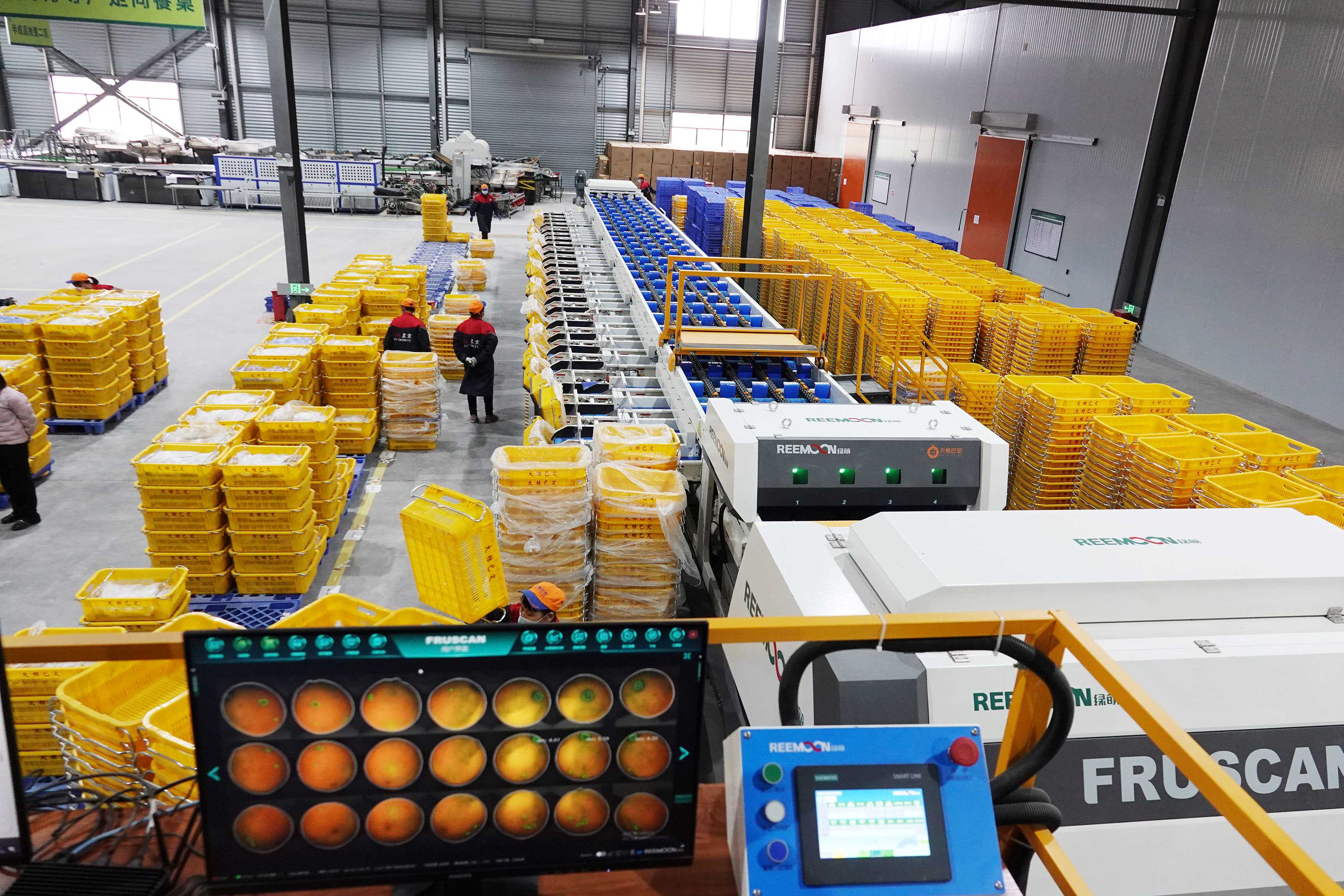 廣西以標提質構建現代農業新格局